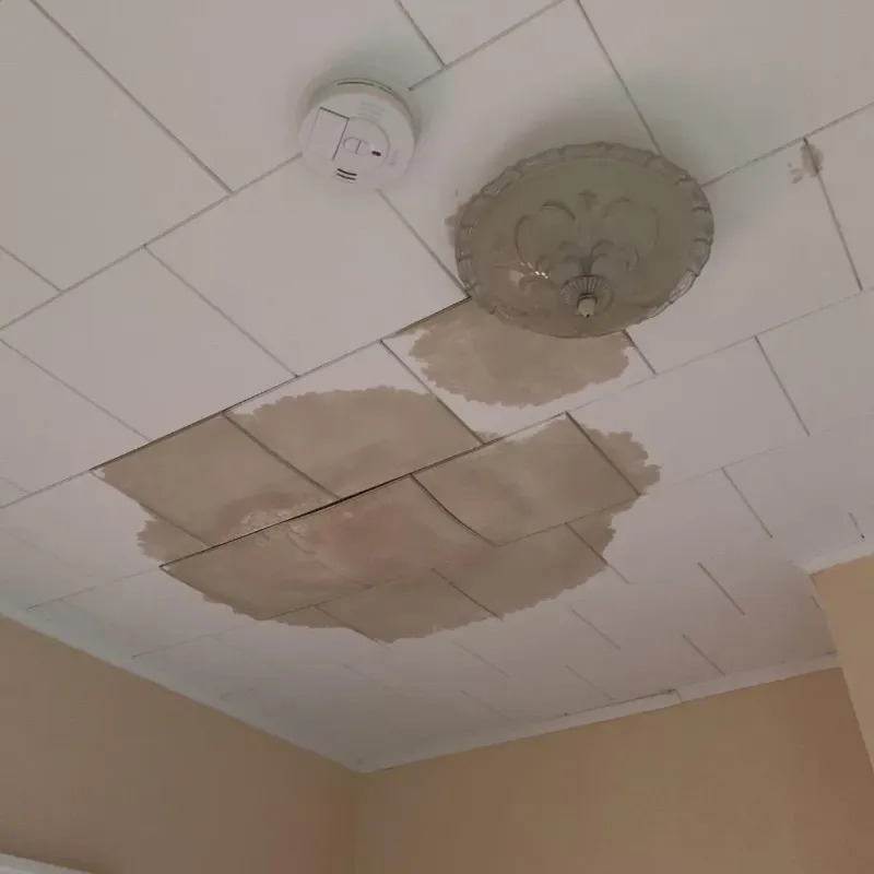 Ceiling Water Damage Repair in Eureka Mill, SC