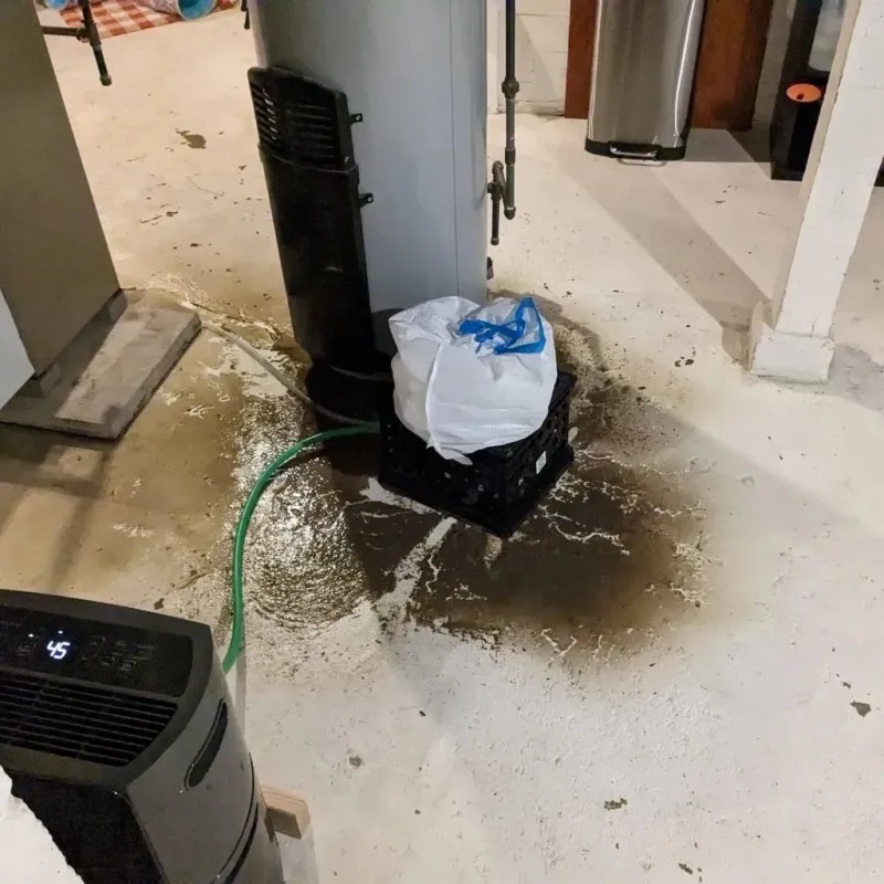 Sewage Backup Cleanup Service in Eureka Mill, SC